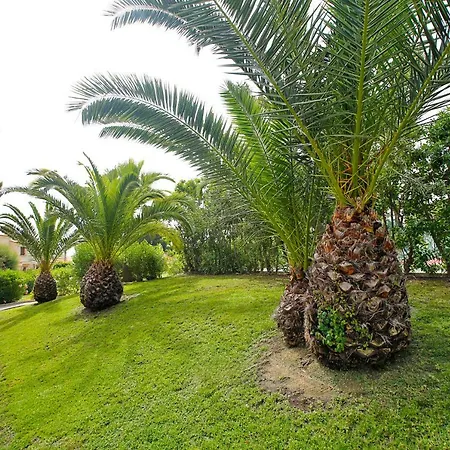 Lighthouse View Ii * Santa Pola