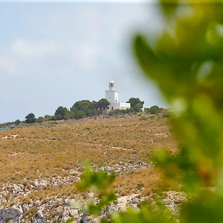 Lighthouse View Ii 펜션